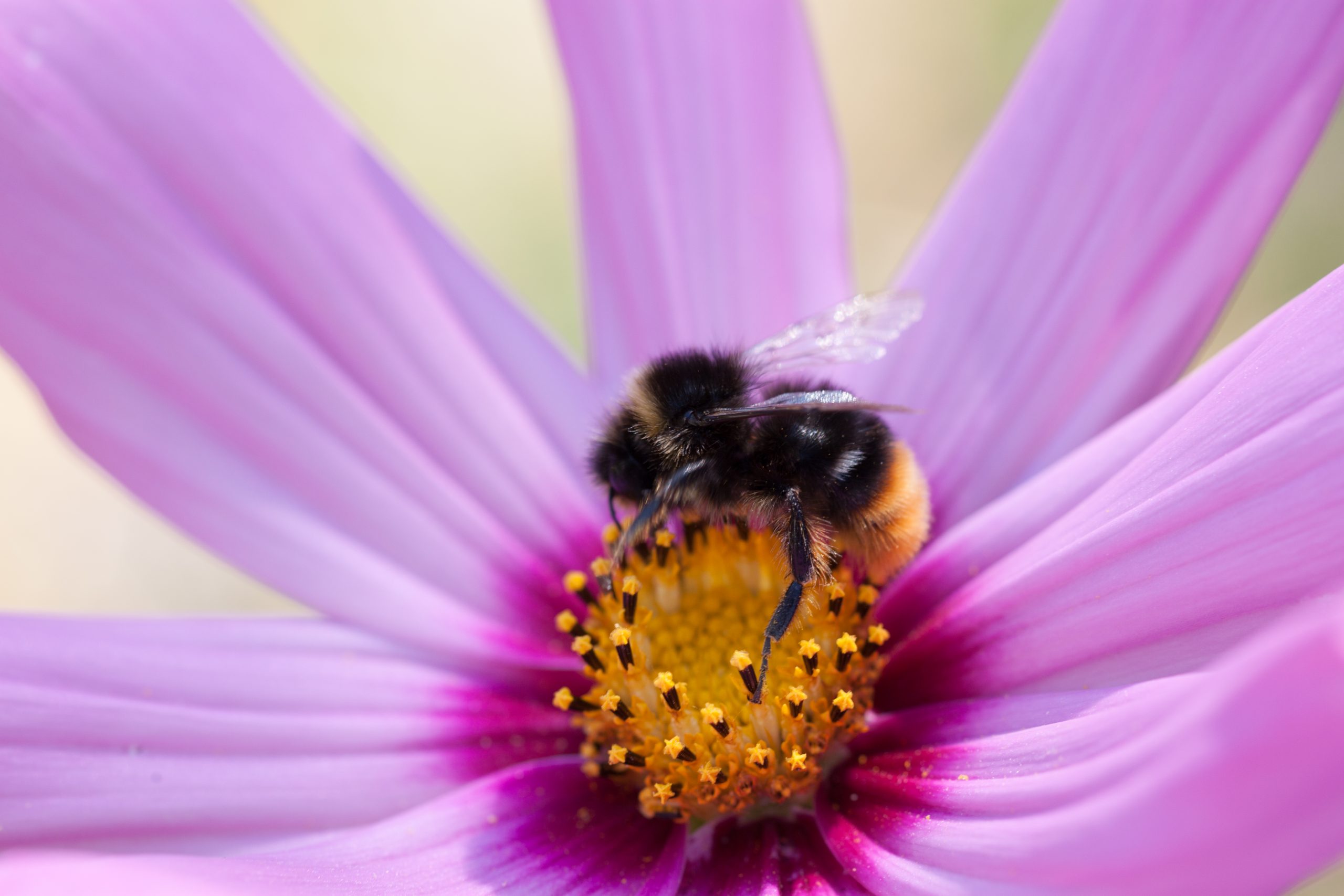 Photographie d'Antoine Gricourt