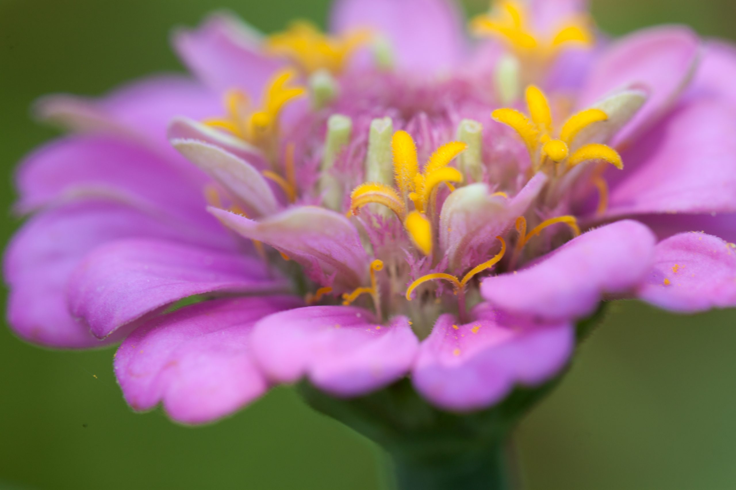 Photographie d'Antoine Gricourt