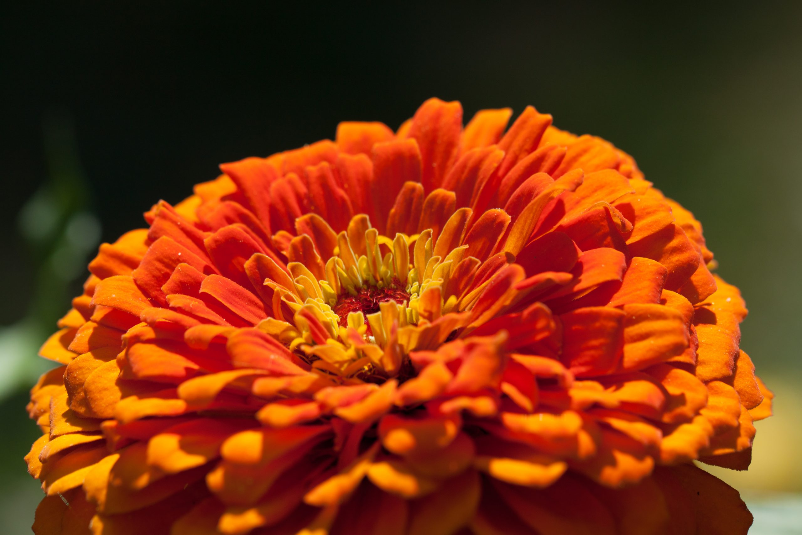Photographie d'Antoine Gricourt