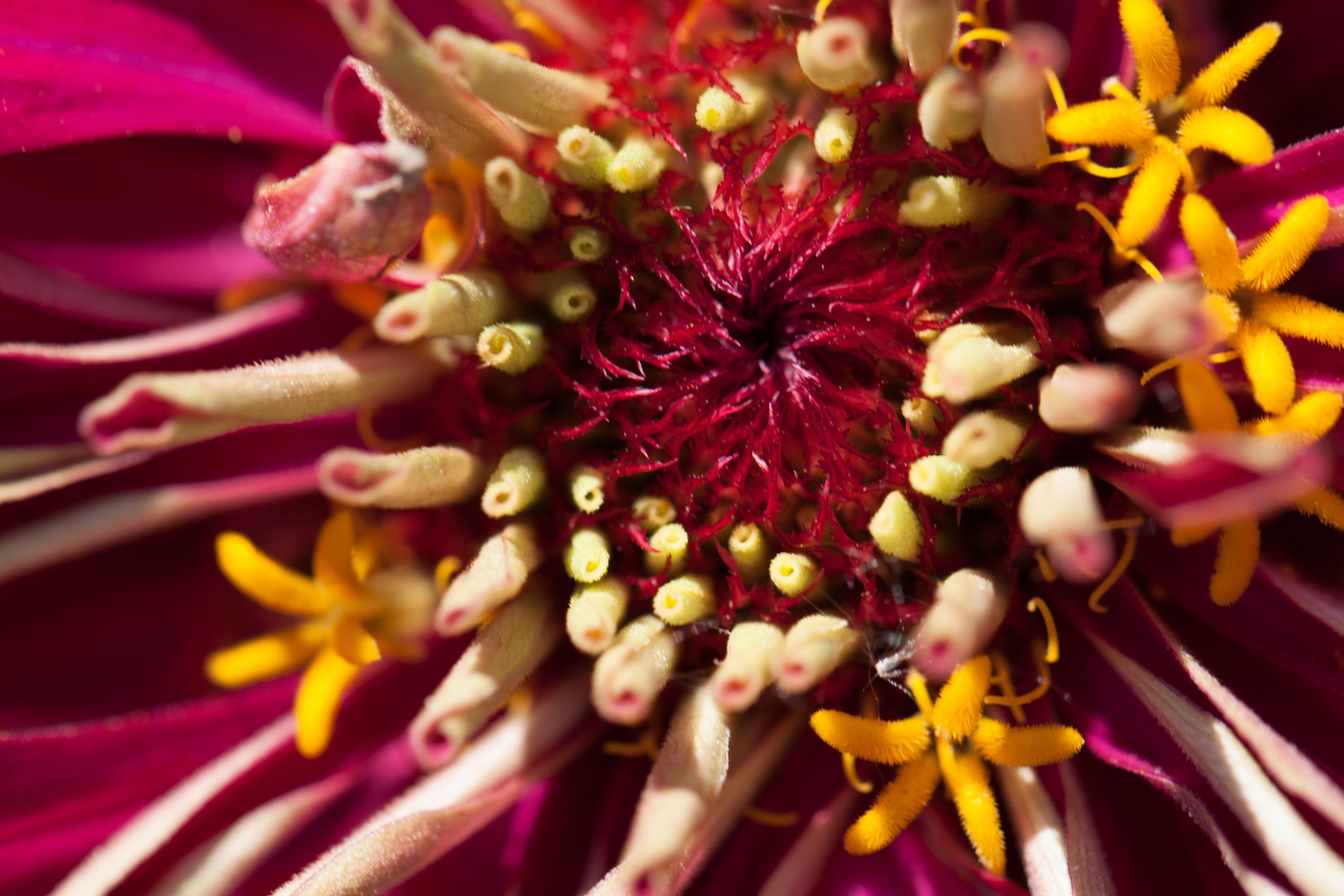 Photographie d'Antoine Gricourt