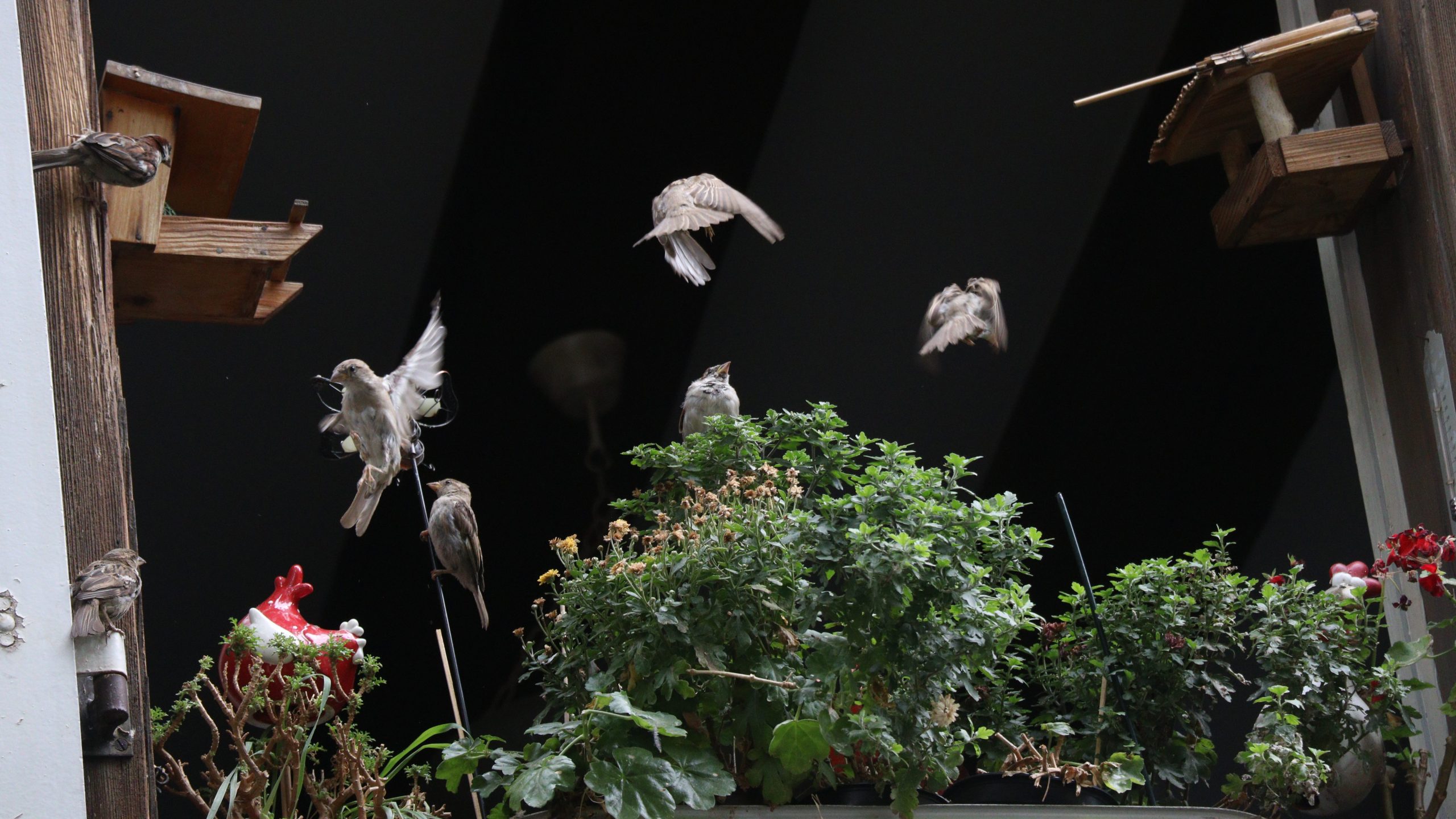 Photographie d'Antoine Gricourt